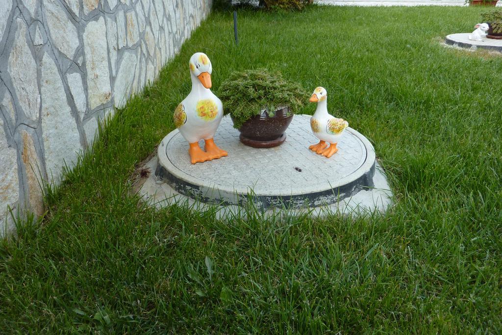 Guest House H Dzhogolanov Koprivštica Exteriér fotografie